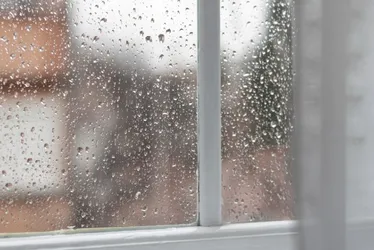 Imagem ilustrativa da imagem Chuva e granizo causam destruição em Laranja da Terra