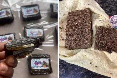 Imagem ilustrativa da imagem Traficantes escondiam drogas dentro de peixes congelados em peixaria de Vila Velha