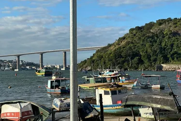 Imagem ilustrativa da imagem Traficantes escondiam drogas dentro de peixes congelados em peixaria de Vila Velha
