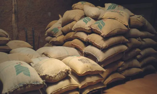 
          Imagem ilustrativa da imagem Agronegócio capixaba: exportação é a maior da história
          