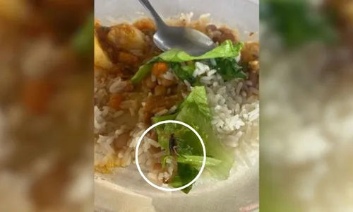 
          Imagem ilustrativa da imagem Aluno acha escorpião em merenda de escola pública
          