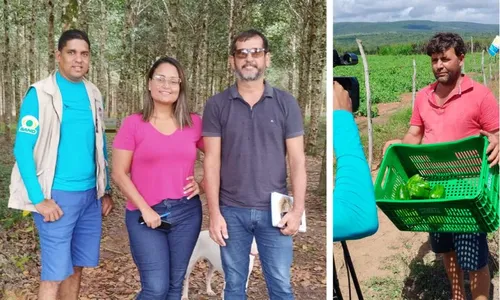 
          Imagem ilustrativa da imagem Bezerros, Caruaru, Timbaúba e Camaragibe estão em foco do Notícias do Campo
          