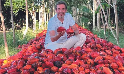 
          Imagem ilustrativa da imagem Cacau Show vai investir R$ 1 bi para ficar autossuficiente em cacau
          