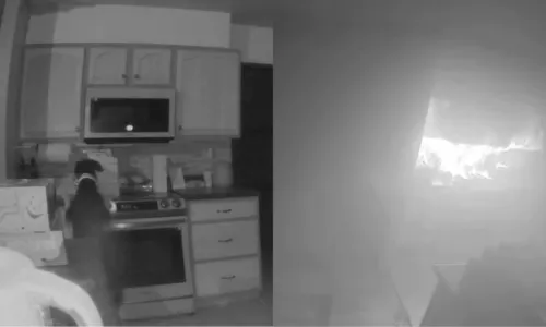 
          Imagem ilustrativa da imagem Cachorro liga fogão acidentalmente e põe fogo em casa nos EUA
          