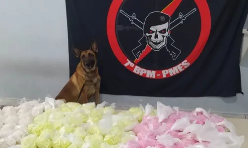 
          Imagem ilustrativa da imagem Cadela da PM encontra 7 mil pinos de cocaína enterrados em Cariacica
          