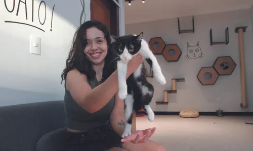 
          Imagem ilustrativa da imagem Cafeterias com espaço para adoção e “point” para gatos
          