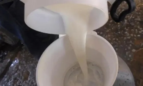 
          Imagem ilustrativa da imagem Campanha alerta sociedade sobre alergia alimentar
          