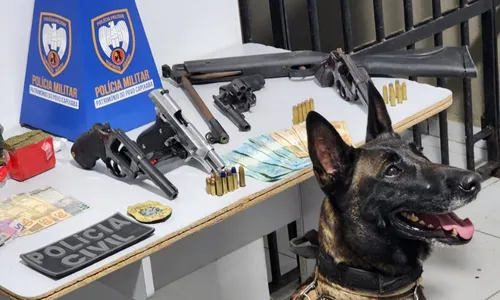 
          Imagem ilustrativa da imagem Cinco suspeitos são presos durante operação no Norte do ES
          