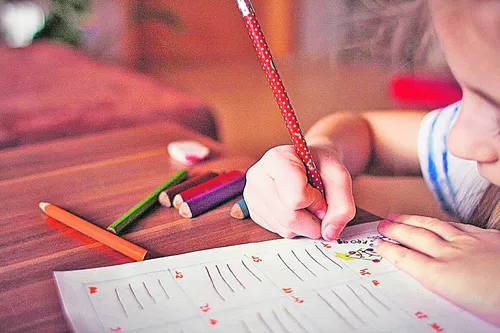 
          Imagem ilustrativa da imagem Clínica atua na inclusão escolar
          