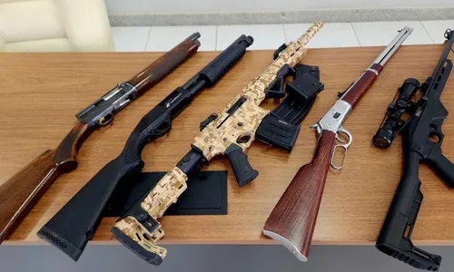 
          Imagem ilustrativa da imagem Colecionador é preso com fuzil e mais de 20 armas irregulares no ES
          