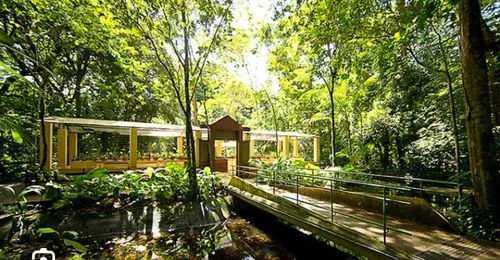 
          Imagem ilustrativa da imagem Corpus Christi: veja como os serviços da prefeitura do Recife irão funcionar
          