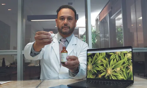 
          Imagem ilustrativa da imagem Decisão do STF: mitos e verdades sobre uso da maconha
          