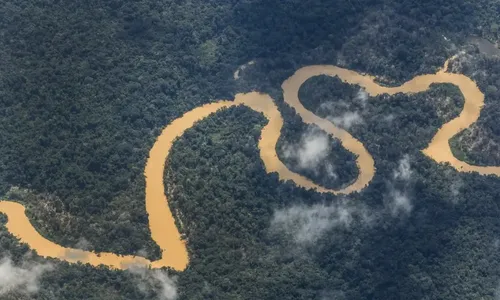 
          Imagem ilustrativa da imagem Desmatamento cai 62% na Amazônia e 12% em todo o Brasil, aponta MapBiomas
          