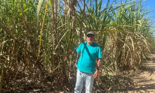 
          Imagem ilustrativa da imagem Engenheiro larga profissão e vira produtor de destaque no ES
          