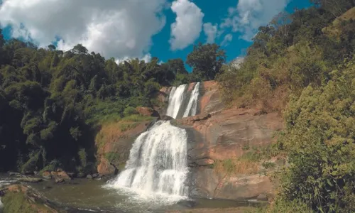 
          Imagem ilustrativa da imagem Feriado de Corpus Christi: parques estaduais estarão abertos para visitação
          
