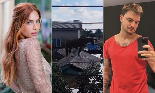 
          Imagem ilustrativa da imagem Gio Ewbank e Felipe Neto se oferecem para adotar égua resgatada no RS
          