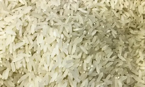 
          Imagem ilustrativa da imagem Governo marca leilão de compra de arroz importado para 6 de junho
          