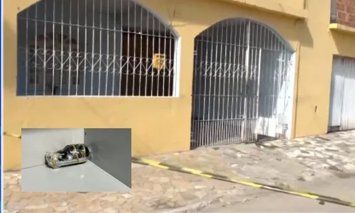 
          Imagem ilustrativa da imagem Granada é encontrada dentro de casa na Serra
          