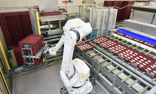 
          Imagem ilustrativa da imagem Indústria de alimentos é a que mais emprega no Brasil, diz IBGE
          