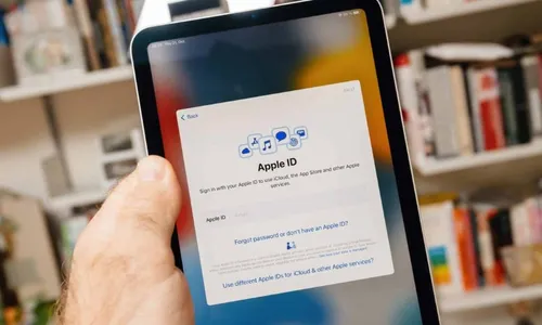 
          Imagem ilustrativa da imagem Justiça dá herança digital a familiares
          