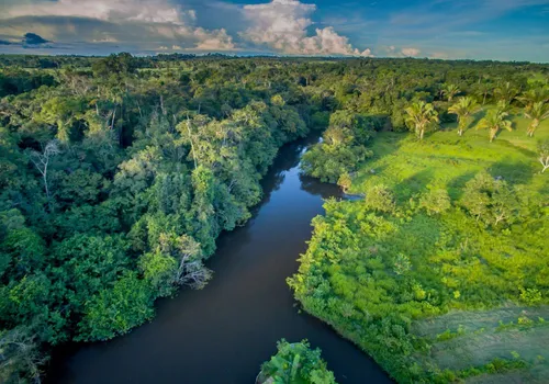 
          Imagem ilustrativa da imagem Lula cobra agilidade em plano para amazônia
          