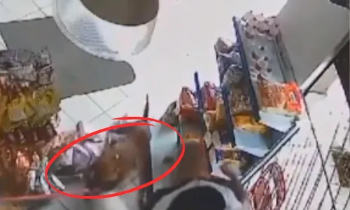 
          Imagem ilustrativa da imagem Menino de 7 anos tem orelha mutilada após ser atacado por cão no ES
          