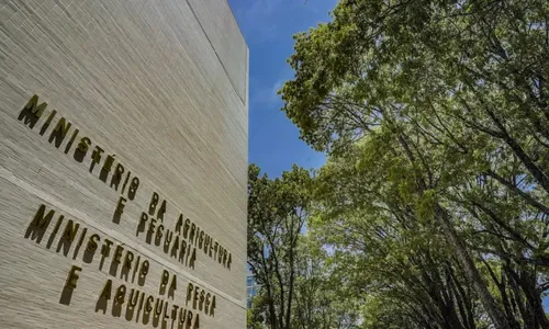 
          Imagem ilustrativa da imagem Ministério da Pesca anuncia concurso com 264 vagas e salário de R$ 6.130
          