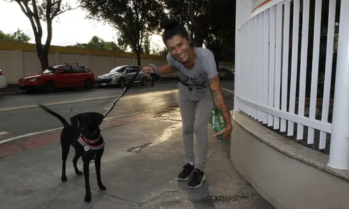 
          Imagem ilustrativa da imagem Moradores defendem multa por xixi de cães nas calçadas
          