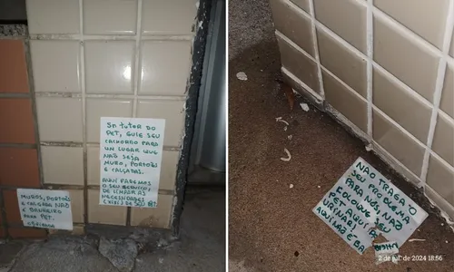 
          Imagem ilustrativa da imagem Moradores defendem multa por xixi de cães nas calçadas
          