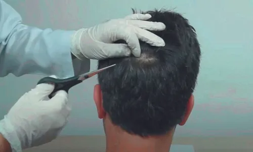 
          Imagem ilustrativa da imagem Motorista profissional sem exame toxicológico será multado
          