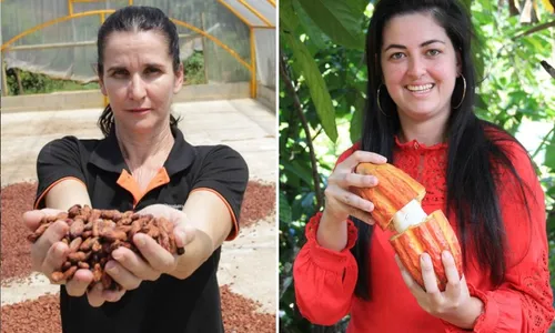 
          Imagem ilustrativa da imagem Mulheres do cacau: produtoras capixabas buscam melhorias para o cultivo
          