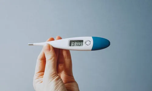 
          Imagem ilustrativa da imagem O calor de algumas doenças
          