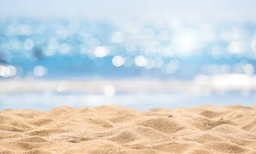 
          Imagem ilustrativa da imagem 'PEC das Praias' ameaça manguezais e restingas, dizem ambientalistas
          