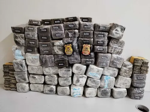 
          Imagem ilustrativa da imagem PF prende três homens transportando 52 quilos de haxixe no Recife
          