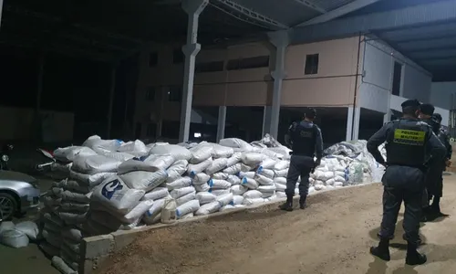 
          Imagem ilustrativa da imagem PM recupera mais de mil sacos de adubo furtados de galpão de prefeitura do ES
          