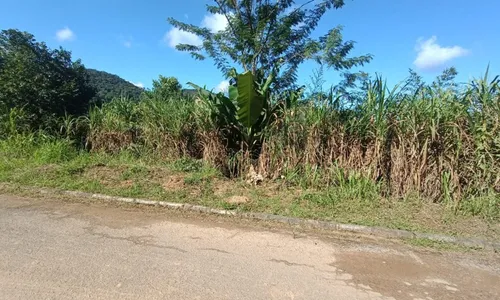 
          Imagem ilustrativa da imagem Pai é preso por arremessar bebê em barranco de 10 metros no ES
          