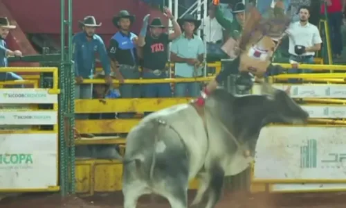 
          Imagem ilustrativa da imagem Peão é arremessado e pisoteado por touro durante rodeio em MG
          