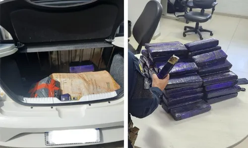 
          Imagem ilustrativa da imagem Polícia apreende 45 kg de maconha dentro de carro em Cariacica
          