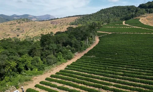 
          Imagem ilustrativa da imagem Produtor rural é multado em mais de R$ 100 mil por desmatamento ilegal no ES
          