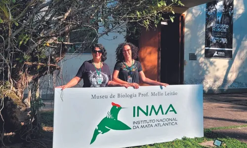 
          Imagem ilustrativa da imagem Programação da Semana Nacional dos Museus termina neste domingo
          