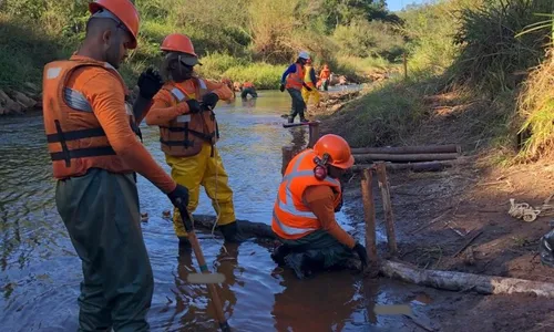 
          Imagem ilustrativa da imagem Projeto capixaba que recupera rios é aprovado por especialistas
          