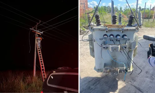 
          Imagem ilustrativa da imagem Rede de energia clandestina é descoberta e desmontada em Itaúnas
          