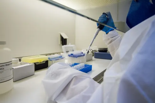 
          Imagem ilustrativa da imagem Secretaria Estadual de Saúde registra mais quatro casos da Febre do Oropouche
          