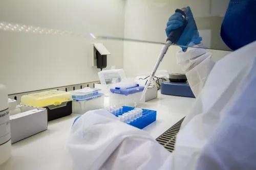 
          Imagem ilustrativa da imagem Pernambuco confirma caso de Candida Auris no Hospital Agamenon Magalhães
          