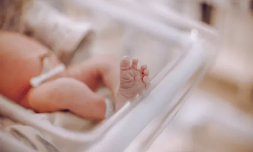 
          Imagem ilustrativa da imagem Estudo aponta que quase 20% da população do ES nasceu fora do Estado
          