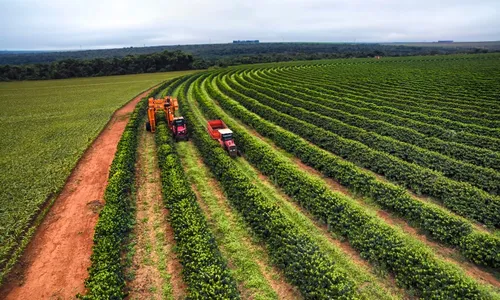 
          Imagem ilustrativa da imagem Agronegócio do ES exportou mais de US$ 1,8 bilhão nos sete primeiros meses de 2024
          