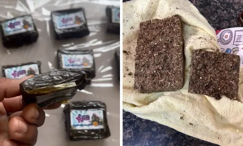 
          Imagem ilustrativa da imagem Traficantes escondiam drogas dentro de peixes congelados em peixaria de Vila Velha
          