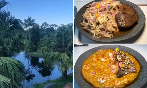 
          Imagem ilustrativa da imagem Turismo ecológico no Caparaó Capixaba
          