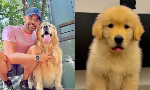 
          Imagem ilustrativa da imagem Tutor de cachorro Joca, morto em voo, adota outro cão
          