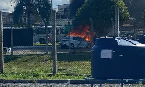 
          Imagem ilustrativa da imagem VÍDEO | Carro pega fogo próximo ao Aeroporto, em Vitória
          
